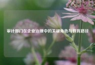 审计部门在企业治理中的关键角色与教育路径