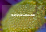 教师资格证报名途径全解析