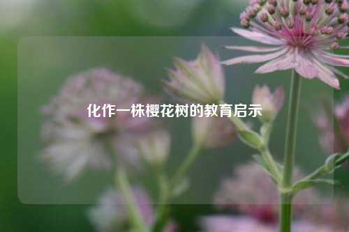 化作一株樱花树的教育启示