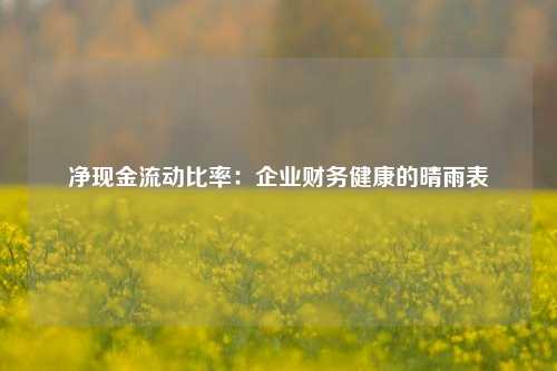 净现金流动比率：企业财务健康的晴雨表