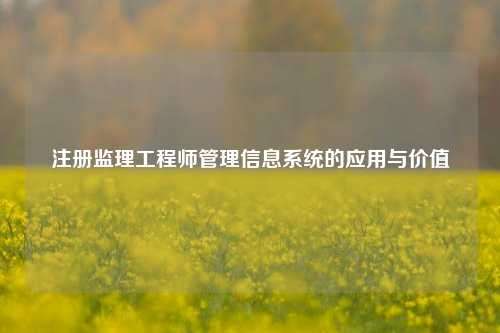 注册监理工程师管理信息系统的应用与价值