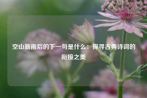 空山新雨后的下一句是什么：探寻古典诗词的衔接之美
