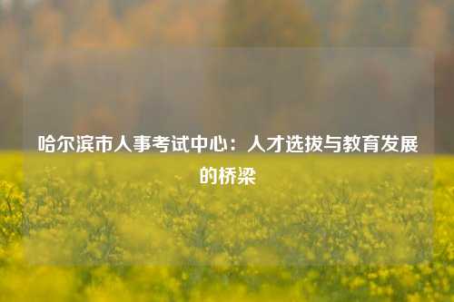 哈尔滨市人事考试中心：人才选拔与教育发展的桥梁