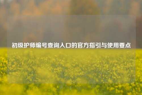 初级护师编号查询入口的官方指引与使用要点