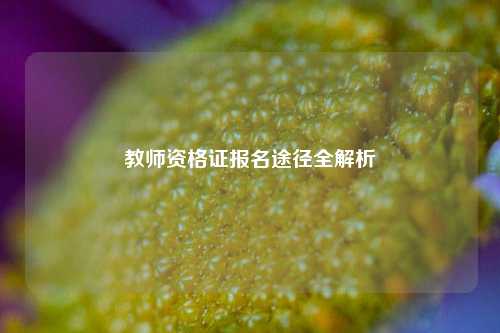 教师资格证报名途径全解析