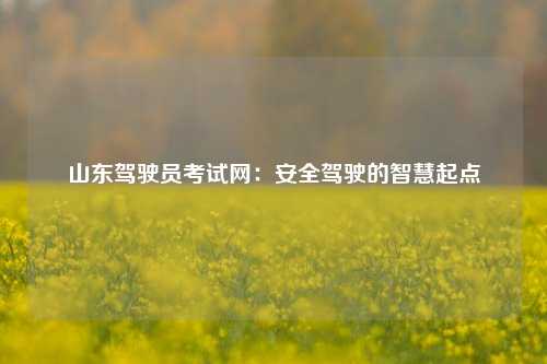 山东驾驶员考试网:安全驾驶的智慧起点