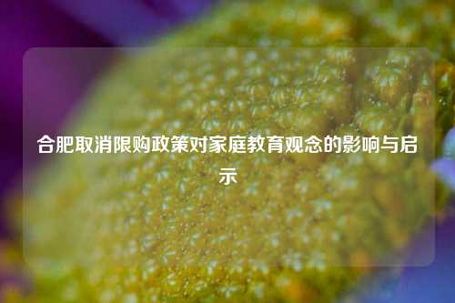合肥取消限购政策对家庭教育观念的影响与启示
